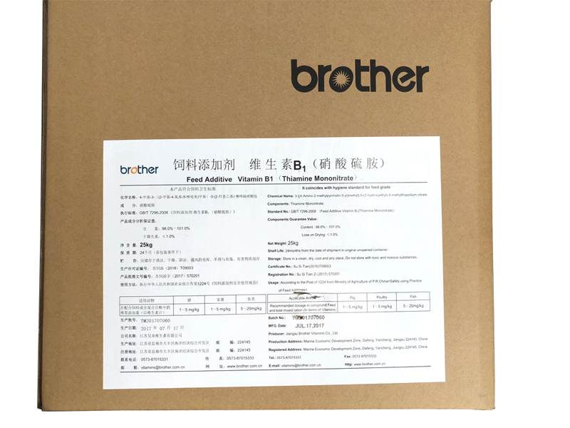 維生素B1-兄弟.JPG